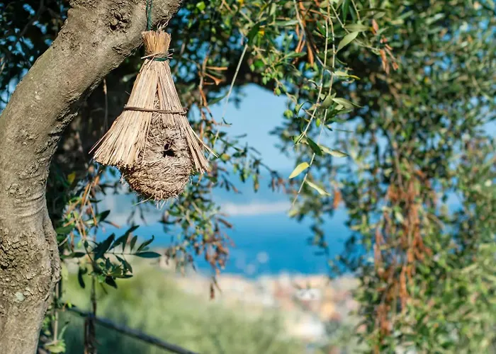 Ginela' Casa de hóspedes